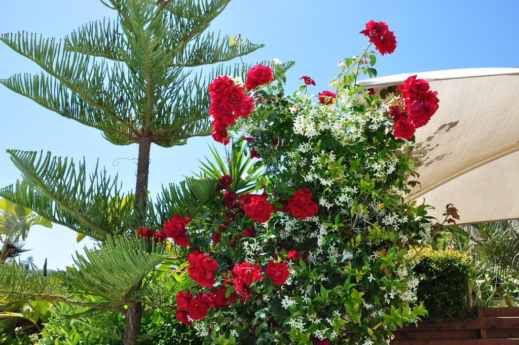 Polis Sandy Beach Villa מראה חיצוני תמונה