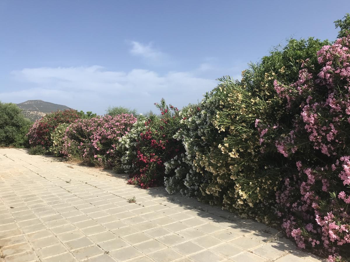 Polis Sandy Beach Villa מראה חיצוני תמונה